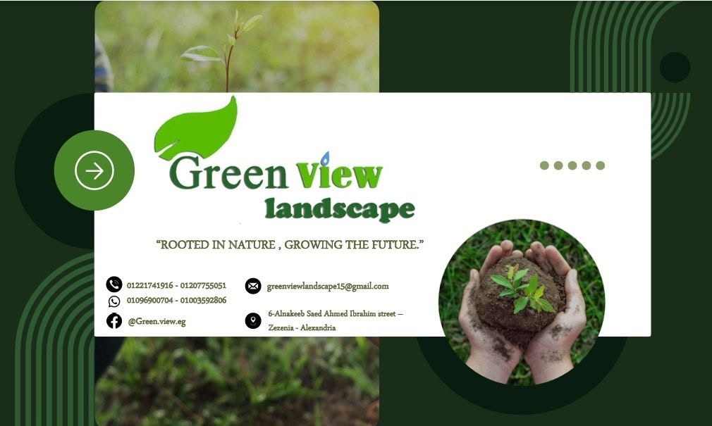 Green View Info Banner