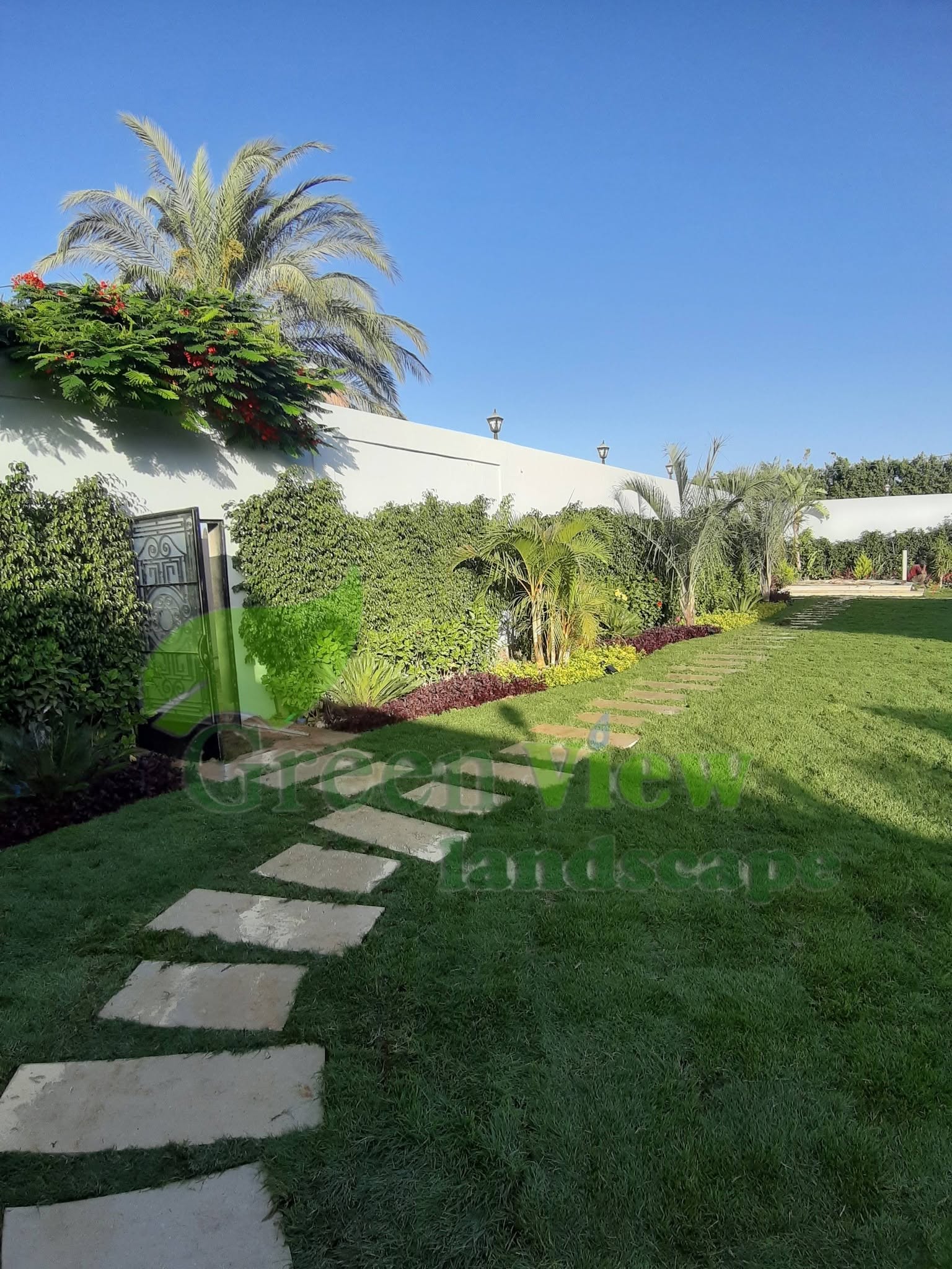 Green View Landscape View